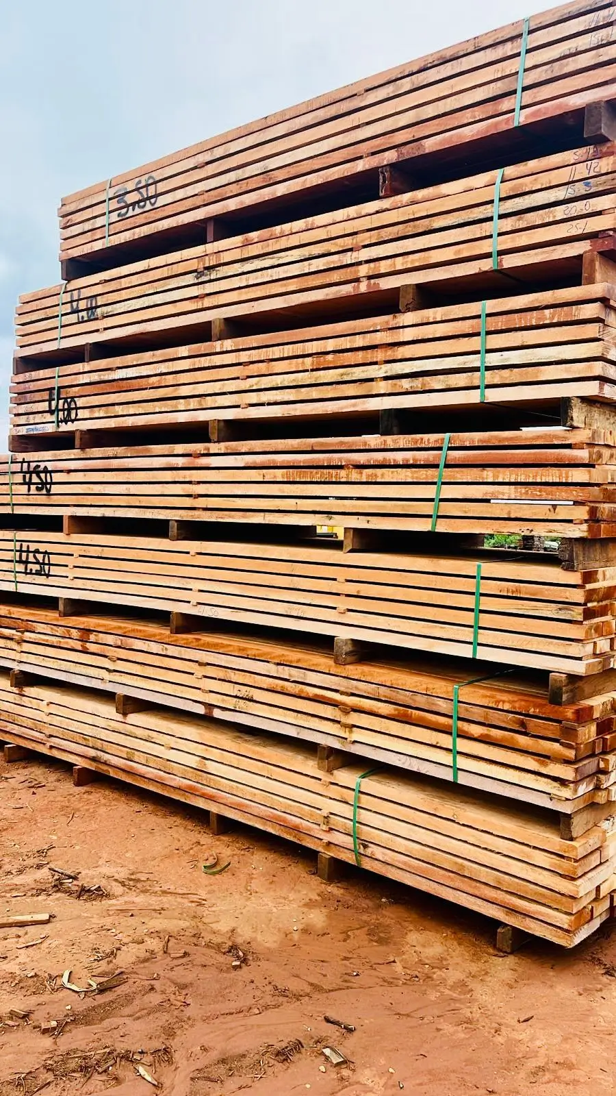 Vigamento e Pranchas Cambará